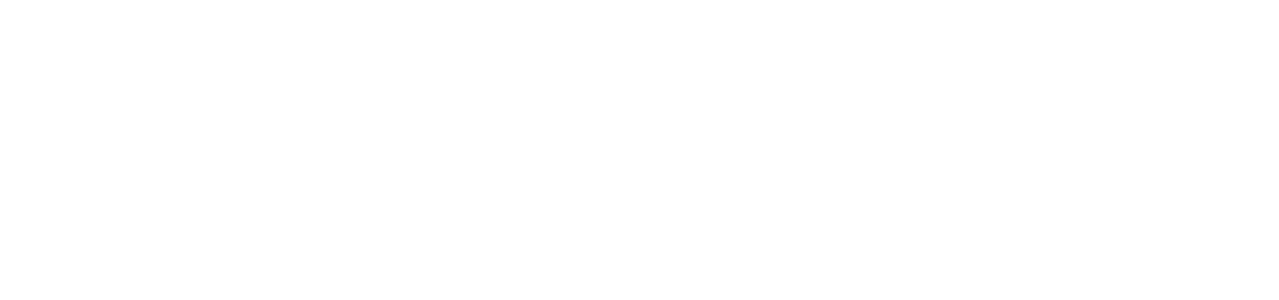 Diseño Total Logo